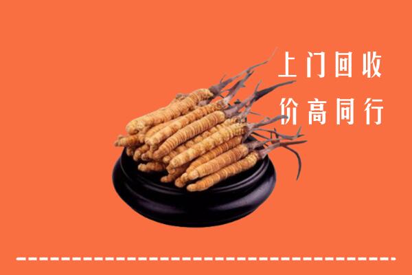 高价求购：廊坊安次区回收散虫草