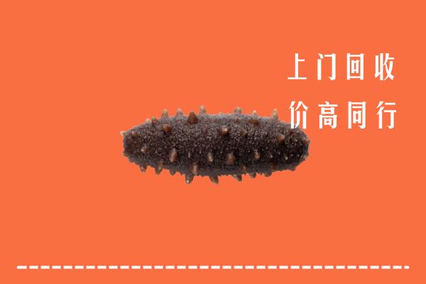 高价求购：廊坊安次区回收海参